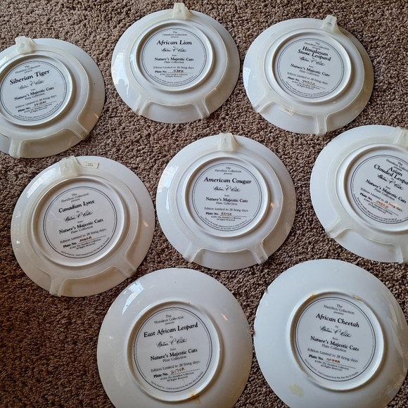 Vintage Set of 8 Nature's Majestic Cats Plates The Hamilton Collection - Picture 8 of 11